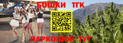 трава Сланцы