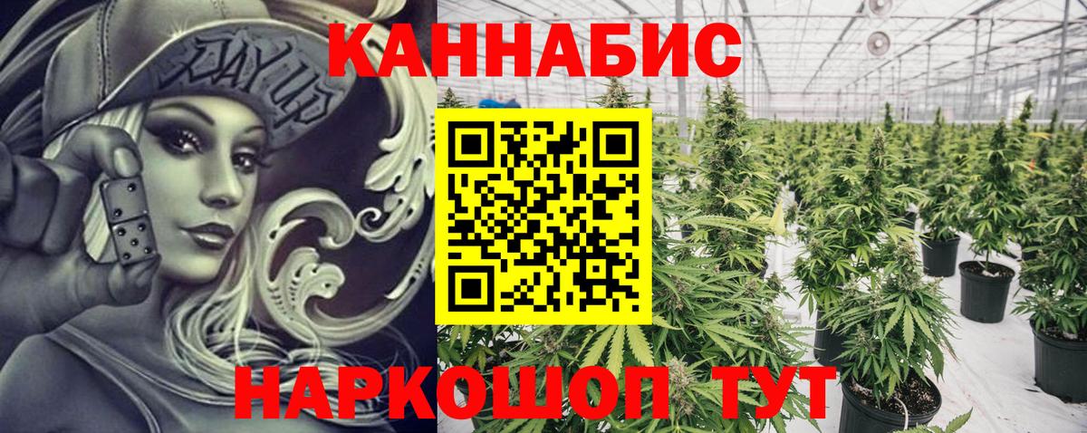Бошки марихуана тримм Нижний Тагил